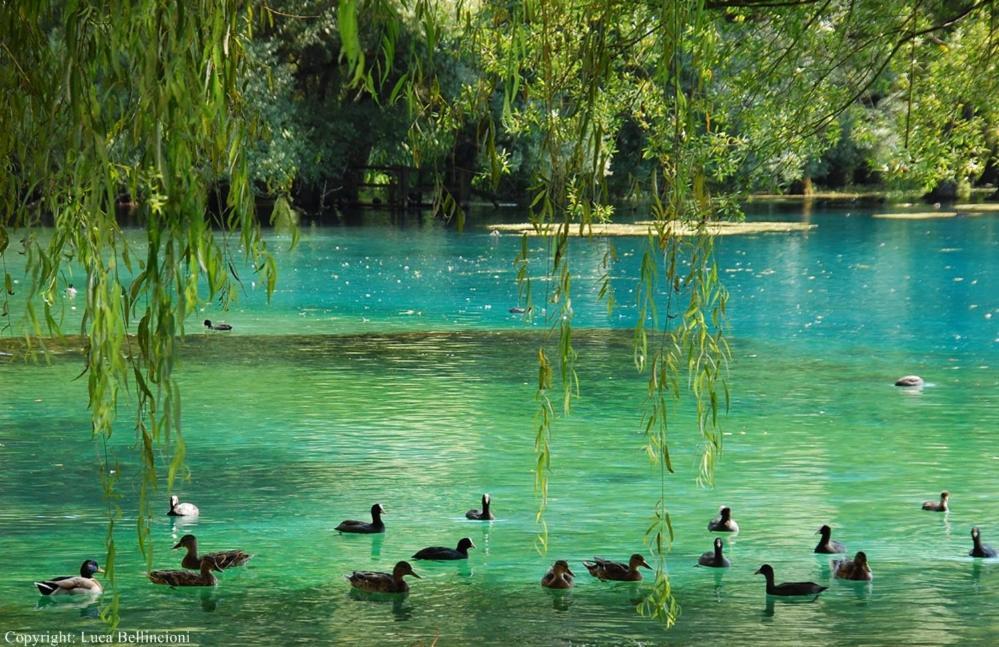 Casa Rosamari - Su Lago Di Posta Fibreno, Appartamento Con Camino Kültér fotó